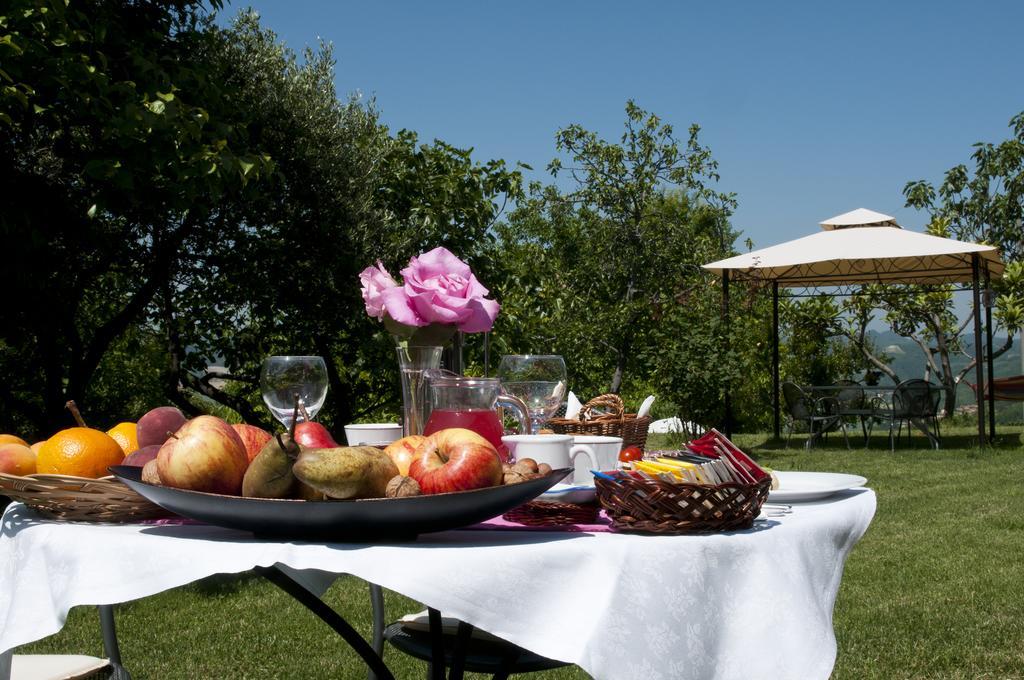 Cascina Rosa B&B Grazzano Badoglio Dış mekan fotoğraf